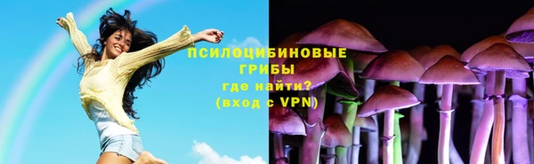 PSILOCYBIN Армянск