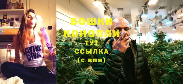 PSILOCYBIN Армянск