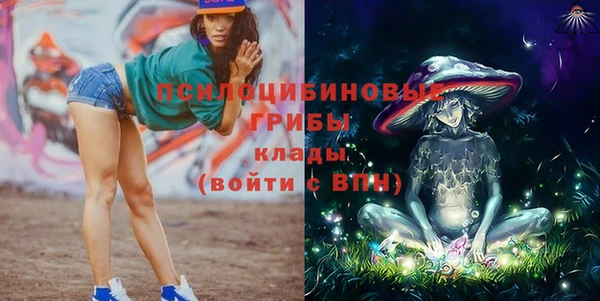 PSILOCYBIN Армянск